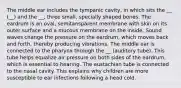 The middle ear includes the tympanic cavity, in which sits the __ (__) and the __, three small, specially shaped bones. The eardrum is an oval, semitansparent membrane with skin on its outer surface and a mucous membrane on the inside. Sound waves change the pressure on the eardrum, which moves back and forth, thereby producing vibrations. The middle ear is connected to the pharynx through the __ (auditory tube). This tube helps equalize air pressure on both sides of the eardrum, which is essential to hearing. The eustachian tube is connected to the nasal cavity. This explains why children are more susceptible to ear infections following a head cold.