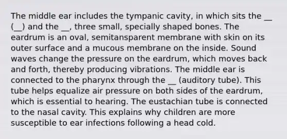 The middle ear includes the tympanic cavity, in which sits the __ (__) and the __, three small, specially shaped bones. The eardrum is an oval, semitansparent membrane with skin on its outer surface and a mucous membrane on the inside. Sound waves change the pressure on the eardrum, which moves back and forth, thereby producing vibrations. The middle ear is connected to the pharynx through the __ (auditory tube). This tube helps equalize air pressure on both sides of the eardrum, which is essential to hearing. The eustachian tube is connected to the nasal cavity. This explains why children are more susceptible to ear infections following a head cold.