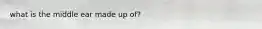 what is the middle ear made up of?