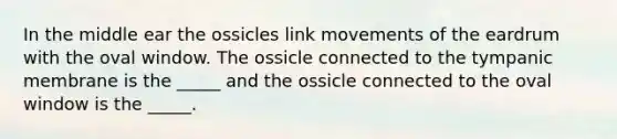 In the middle ear the ossicles link movements of the eardrum with the oval window. The ossicle connected to the tympanic membrane is the _____ and the ossicle connected to the oval window is the _____.