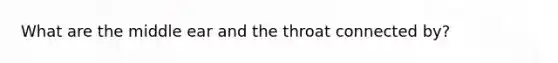 What are the middle ear and the throat connected by?