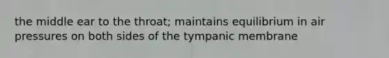 the middle ear to the throat; maintains equilibrium in air pressures on both sides of the tympanic membrane