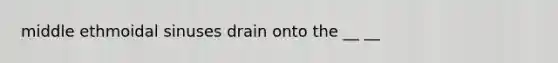 middle ethmoidal sinuses drain onto the __ __