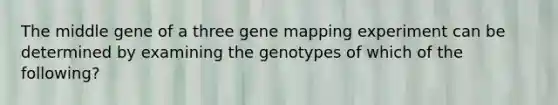 The middle gene of a three gene mapping experiment can be determined by examining the genotypes of which of the following?