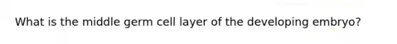 What is the middle germ cell layer of the developing embryo?