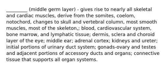 _________ (middle germ layer) - gives rise to nearly all skeletal and cardiac muscles, derive from the somites, coelom, notochord, changes to skull and vertebral column, most smooth muscles, most of the skeleton,; blood, cardiovascular system, bone marrow, and lymphatic tissue; dermis, sclera and choroid layer of the eye; middle ear; adrenal cortex; kidneys and ureter; initial portions of urinary duct system; gonads-ovary and testes and adjacent portions of accessory ducts and organs; connective tissue that supports all organ systems.