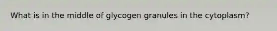 What is in the middle of glycogen granules in the cytoplasm?