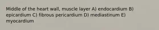 Middle of the heart wall, muscle layer A) endocardium B) epicardium C) fibrous pericardium D) mediastinum E) myocardium