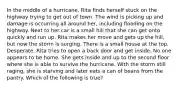 In the middle of a hurricane, Rita finds herself stuck on the highway trying to get out of town. The wind is picking up and damage is occurring all around her, including flooding on the highway. Next to her car is a small hill that she can get onto quickly and run up. Rita makes her move and gets up the hill, but now the storm is surging. There is a small house at the top. Desperate, Rita tries to open a back door and get inside. No one appears to be home. She gets inside and up to the second floor where she is able to survive the hurricane. With the storm still raging, she is starving and later eats a can of beans from the pantry. Which of the following is true?