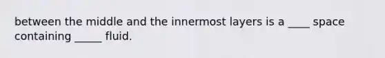 between the middle and the innermost layers is a ____ space containing _____ fluid.