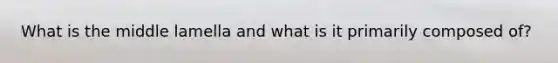 What is the middle lamella and what is it primarily composed of?
