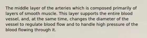 The middle layer of the arteries which is composed primarily of layers of smooth muscle. This layer supports the entire blood vessel, and, at the same time, changes the diameter of the vessel to regulate blood flow and to handle high pressure of the blood flowing through it.