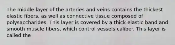 The middle layer of the arteries and veins contains the thickest elastic fibers, as well as connective tissue composed of polysaccharides. This layer is covered by a thick elastic band and smooth muscle fibers, which control vessels caliber. This layer is called the