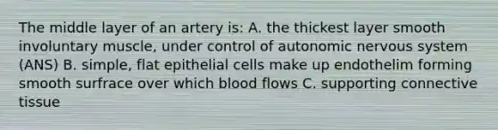 The middle layer of an artery is: A. the thickest layer smooth involuntary muscle, under control of autonomic nervous system (ANS) B. simple, flat epithelial cells make up endothelim forming smooth surfrace over which blood flows C. supporting connective tissue