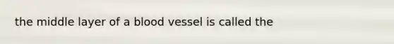 the middle layer of a blood vessel is called the