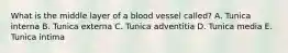 What is the middle layer of a blood vessel called? A. Tunica interna B. Tunica externa C. Tunica adventitia D. Tunica media E. Tunica intima