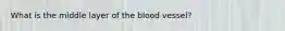 What is the middle layer of the blood vessel?