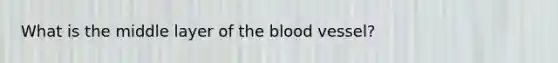 What is the middle layer of the blood vessel?