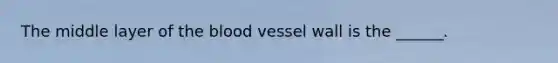 The middle layer of the blood vessel wall is the ______.