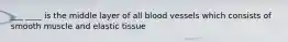 ___ ____ is the middle layer of all blood vessels which consists of smooth muscle and elastic tissue