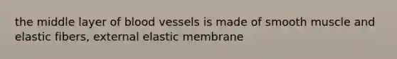 the middle layer of blood vessels is made of smooth muscle and elastic fibers, external elastic membrane