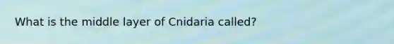 What is the middle layer of Cnidaria called?