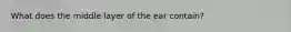 What does the middle layer of the ear contain?