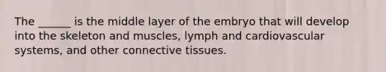 The ______ is the middle layer of the embryo that will develop into the skeleton and muscles, lymph and cardiovascular systems, and other connective tissues.