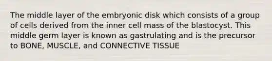 The middle layer of the embryonic disk which consists of a group of cells derived from the inner cell mass of the blastocyst. This middle germ layer is known as gastrulating and is the precursor to BONE, MUSCLE, and CONNECTIVE TISSUE