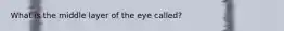 What is the middle layer of the eye called?