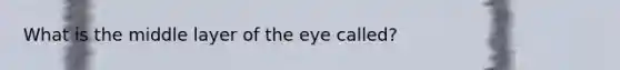 What is the middle layer of the eye called?