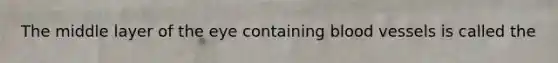 The middle layer of the eye containing blood vessels is called the