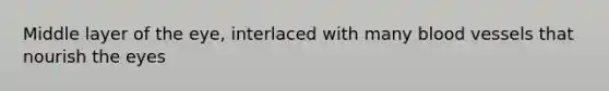 Middle layer of the eye, interlaced with many blood vessels that nourish the eyes