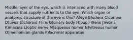 Middle layer of the eye, which is interlaced with many blood vessels that supply nutrients to the eye. Which organ or anatomic structure of the eye is this? A)eye B)sclera C)cornea D)uvea E)choroid F)iris G)ciliary body H)pupil I)lens J)retina K)macula L)optic nerve M)aqueous humor N)vitreous humor O)meinomian glands P)lacrimal apparatus