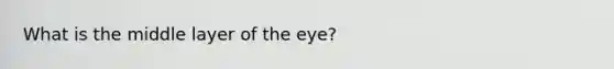 What is the middle layer of the eye?