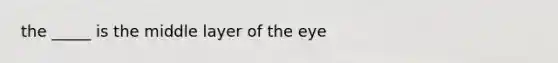 the _____ is the middle layer of the eye