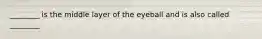 ________ is the middle layer of the eyeball and is also called ________