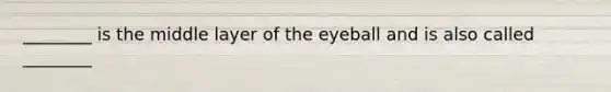 ________ is the middle layer of the eyeball and is also called ________