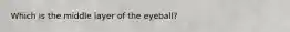 Which is the middle layer of the eyeball?