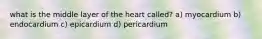 what is the middle layer of the heart called? a) myocardium b) endocardium c) epicardium d) pericardium