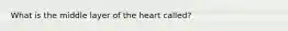 What is the middle layer of the heart called?