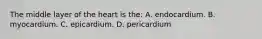 The middle layer of the heart is the: A. endocardium. B. myocardium. C. epicardium. D. pericardium