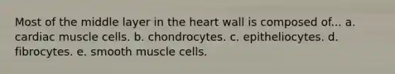 Most of the middle layer in <a href='https://www.questionai.com/knowledge/kya8ocqc6o-the-heart' class='anchor-knowledge'>the heart</a> wall is composed of... a. cardiac muscle cells. b. chondrocytes. c. epitheliocytes. d. fibrocytes. e. smooth muscle cells.