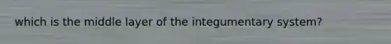 which is the middle layer of the integumentary system?