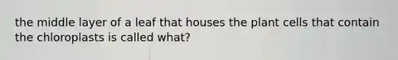 the middle layer of a leaf that houses the plant cells that contain the chloroplasts is called what?