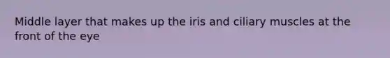 Middle layer that makes up the iris and ciliary muscles at the front of the eye