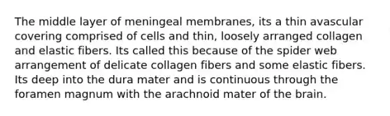 The middle layer of meningeal membranes, its a thin avascular covering comprised of cells and thin, loosely arranged collagen and elastic fibers. Its called this because of the spider web arrangement of delicate collagen fibers and some elastic fibers. Its deep into the dura mater and is continuous through the foramen magnum with the arachnoid mater of <a href='https://www.questionai.com/knowledge/kLMtJeqKp6-the-brain' class='anchor-knowledge'>the brain</a>.