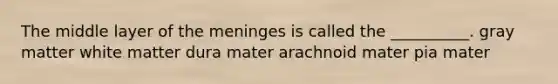 The middle layer of <a href='https://www.questionai.com/knowledge/k36SqhoPCV-the-meninges' class='anchor-knowledge'>the meninges</a> is called the __________. gray matter white matter dura mater arachnoid mater pia mater