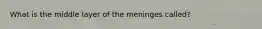 What is the middle layer of the meninges called?