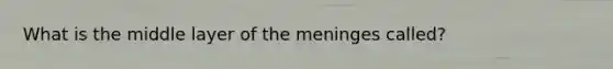 What is the middle layer of the meninges called?